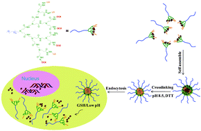 Graphical abstract: Core-cross-linked micellar nanoparticles from a linear-dendritic prodrug for dual-responsive drug delivery