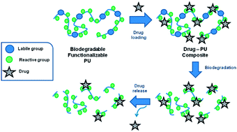 Graphical abstract: Reduction-sensitive functionalized copolyurethanes for biomedical applications