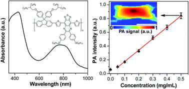 Graphical abstract: Conjugated polymer nanoparticles for photoacoustic vascular imaging