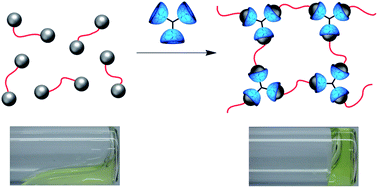 Graphical abstract: Supramolecular polymer networks of building blocks prepared via RAFT polymerization