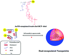 Graphical abstract: Self-assembled nanoparticles from thiol functionalized liquid crystalline brush block copolymers for dual encapsulation of doxorubicin and gold nanoparticles