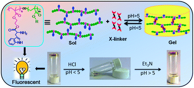 Graphical abstract: Tryptophan containing covalently cross-linked polymeric gels with fluorescence and pH-induced reversible sol–gel transition properties