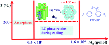 Graphical abstract: Synthesis and phase behavior of a new 2-vinylbiphenyl-based mesogen-jacketed liquid crystalline polymer with a high glass transition temperature and low threshold molecular weight
