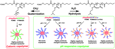 Graphical abstract: Unexpected behavior of polydimethylsiloxane/poly(2-(dimethylamino)ethyl acrylate) (charged) amphiphilic block copolymers in aqueous solution