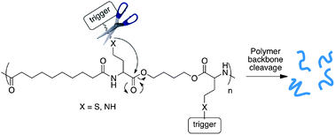 Graphical abstract: Triggered degradation of poly(ester amide)s via cyclization of pendant functional groups of amino acid monomers