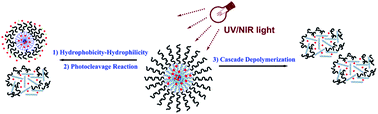 Graphical abstract: UV- and NIR-responsive polymeric nanomedicines for on-demand drug delivery