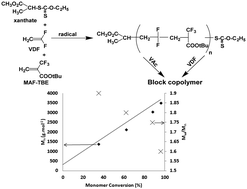 Graphical abstract: First RAFT/MADIX radical copolymerization of tert-butyl 2-trifluoromethacrylate with vinylidene fluoride controlled by xanthate