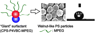 Graphical abstract: Synthesis of walnut-like polystyrene particles using a “giant” surfactant and its superhydrophobic property
