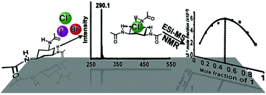 Graphical abstract: Quantification of ion binding using electrospray mass spectrometry