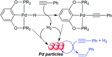 Graphical abstract: Interaction of alkynes with palladium POCOP-pincer hydride complexes and its unexpected relation to palladium-catalyzed hydrogenation of alkynes