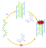 Graphical abstract: Nonlinear optical dye TSQ1 as an efficiently selective fluorescent probe for G-quadruplex DNA