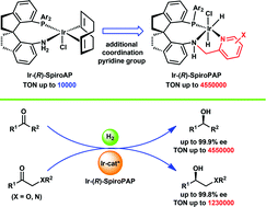Graphical abstract: Chiral spiro iridium catalysts with SpiroPAP ligands: highly efficient for asymmetric hydrogenation of ketones and ketoesters