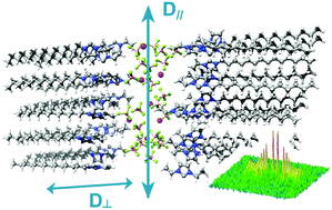 Graphical abstract: Multiscale NMR investigation of mesogenic ionic-liquid electrolytes with strong anisotropic orientational and diffusional behaviour