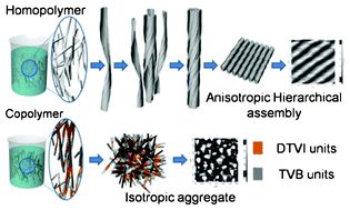 Graphical abstract: Supramolecular assembly in side-chain conjugated thiophene copolymers