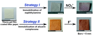 Graphical abstract: Highly sensitive colourimetric anion chemosensors fabricated by functional surface modification of natural cellulose substance