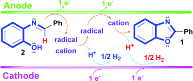 Graphical abstract: Transition-metal catalyst free C [[double bond, length as m-dash]] N coupling with phenol/phenoxide: a green synthesis of a benzoxazole scaffold by an anodic oxidation reaction