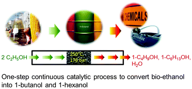 Graphical abstract: One-step continuous process for the production of 1-butanol and 1-hexanol by catalytic conversion of bio-ethanol at its sub-/supercritical state