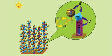 Graphical abstract: Polyoxometalate–CdS quantum dots co-sensitized TiO2 nanorods array: enhanced charge separation and light to electricity conversion efficiency