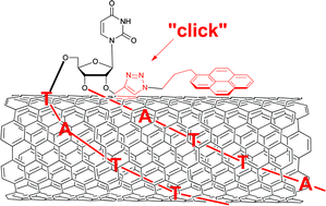 Graphical abstract: A simple pyrene “click”-type modification of DNA affects solubilisation and photoluminescence of single-walled carbon nanotubes