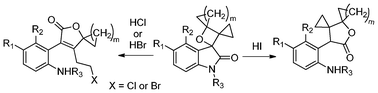 Graphical abstract: Acid-mediated transformation of spirocyclopropyl oxetanes: a facile approach to spirocyclopropyl butenolides and γ-butyrolactones