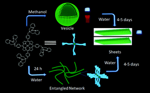 Graphical abstract: Dye encapsulation and release by a zinc–porphyrin pincer system through morphological transformations