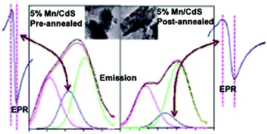 Graphical abstract: Coexistence of antiferromagnetism and ferromagnetism in Mn2+/CdS nanocrystals and their photophysical properties