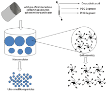 Graphical abstract: Ultra-small fluorescent bile acid conjugated PHB–PEG block copolymeric nanoparticles: synthesis, characterization and cellular uptake