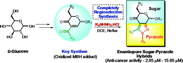 Graphical abstract: Regioselective synthesis of densely functionalized, enantiopure, sugar–pyrazole hybrids as potential scaffolds for drug discovery