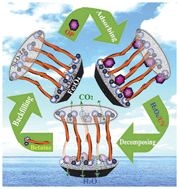Graphical abstract: Selective photodegradation and backfilling for regeneration of the inorganic–organic hybrid composite Fe3O4@C18ADB@Zn2SiO4 which captures organic pollutants from aqueous solution