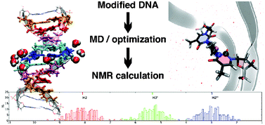 Graphical abstract: Accurate prediction of 1H chemical shifts in interstrand cross-linked DNA