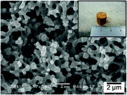 Graphical abstract: Sol–gel synthesis of zinc ferrite-based xerogel monoliths with well-defined macropores