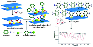 Graphical abstract: Facile preparation of polyaniline nanofibers modified bentonite nanohybrid for gas sensor application