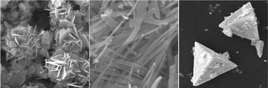 Graphical abstract: Template-free and morphology-controlled hydrothermal growth of single-crystalline Bi12TiO20 with excellent simulated sunlight photocatalytic activity