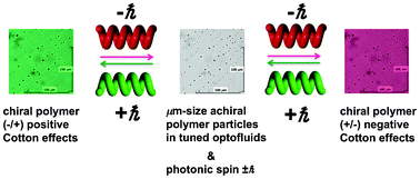 Graphical abstract: Mirror symmetry breaking and restoration within μm-sized polymer particles in optofluidic media by pumping circularly polarised light