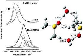 Graphical abstract: Raman scattering and DFT calculations used for analyzing the structural features of DMSO in water and methanol