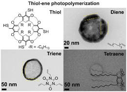 Graphical abstract: Direct synthesis of hollow polymeric nanocapsules of variable shell thickness and rigidity