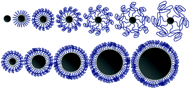 Graphical abstract: PEGylated gold nanoparticles: polymer quantification as a function of PEG lengths and nanoparticle dimensions