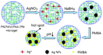 Graphical abstract: Silver nanoparticles loading pH responsive hybrid microgels: pH tunable plasmonic coupling demonstrated by surface enhanced Raman scattering