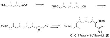 Graphical abstract: An iterative, facile stereoselective synthesis of C1-C11 fragment of borrelidin via enzymatic desymmetrization strategy