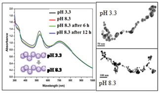 Graphical abstract: One pot room temperature synthesis of robust gold nanochains