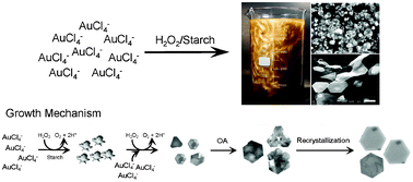 Graphical abstract: Formation of large H2O2-reduced gold nanosheets via starch-induced two-dimensional oriented attachment
