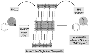 Graphical abstract: Iron–surfactant nanocomposite-catalyzed benzylic oxidation in water