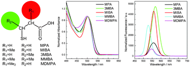 Graphical abstract: Regulating properties of quantum dots: effect of methyl side groups of mercapto acids