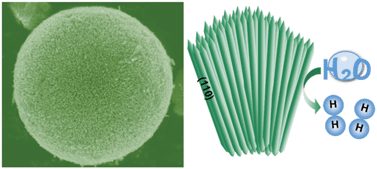 Graphical abstract: Enhanced photocatalytic H2 production on hierarchical rutile TiO2 microspheres