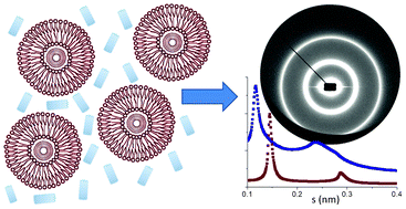 Graphical abstract: Synchrotron small angle X-ray scattering for the evaluation of the interaction of silica nanotubes with lipid membranes