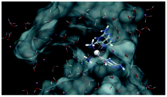 Graphical abstract: QM/MM description of platinum–DNA interactions: comparison of binding and DNA distortion of five drugs