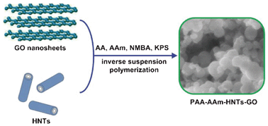Graphical abstract: Preparation of poly(sodium acrylate-acrylamide) superabsorbent nanocomposites incorporating graphene oxide and halloysite nanotubes
