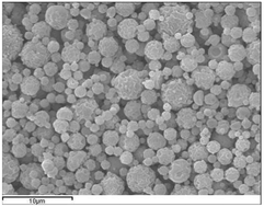 Graphical abstract: Chitosan microparticles for “in vitro” 3D culture of human chondrocytes