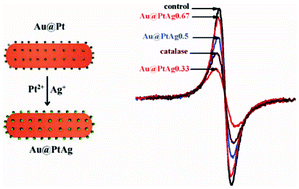 Graphical abstract: Au@PtAg core/shell nanorods: tailoring enzyme-like activities via alloying