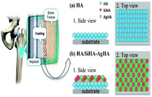 Graphical abstract: Deposition and characterization of a dual-layer silicon- and silver-containing hydroxyapatite coating via a drop-on-demand technique